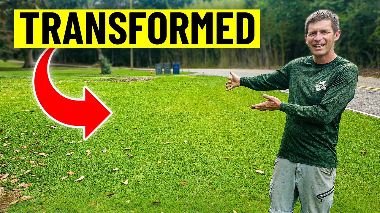 Fall Lawn Care Program for Bermuda, Zoysia, Centipede and St Augustine Grass