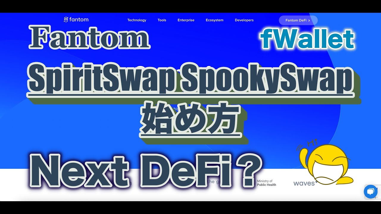【FTM】Fantom・fWallet・SpiritSwap・SpookySwapのDeFiの始め方！新しいFTMネットワーク・基本戦略などなど【DeFi】※字幕ON推奨