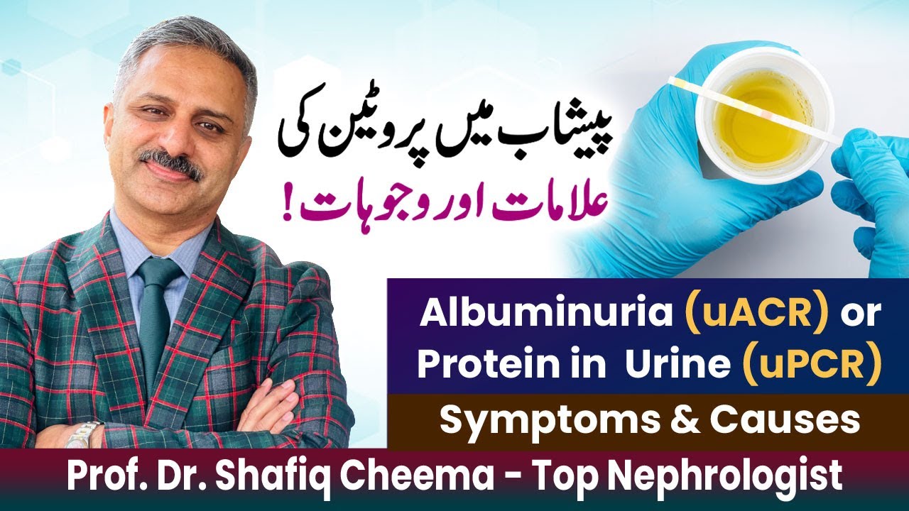 Albuminuria Video 1 : Albuminuria uACR or Protein in Urine uPCR | Symptoms & Causes