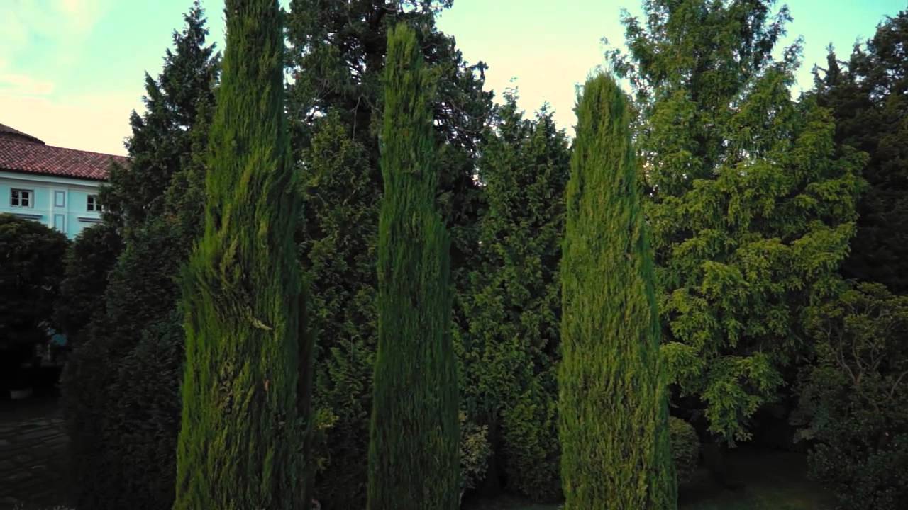 TARCENTO - BEFORE AND AFTER
