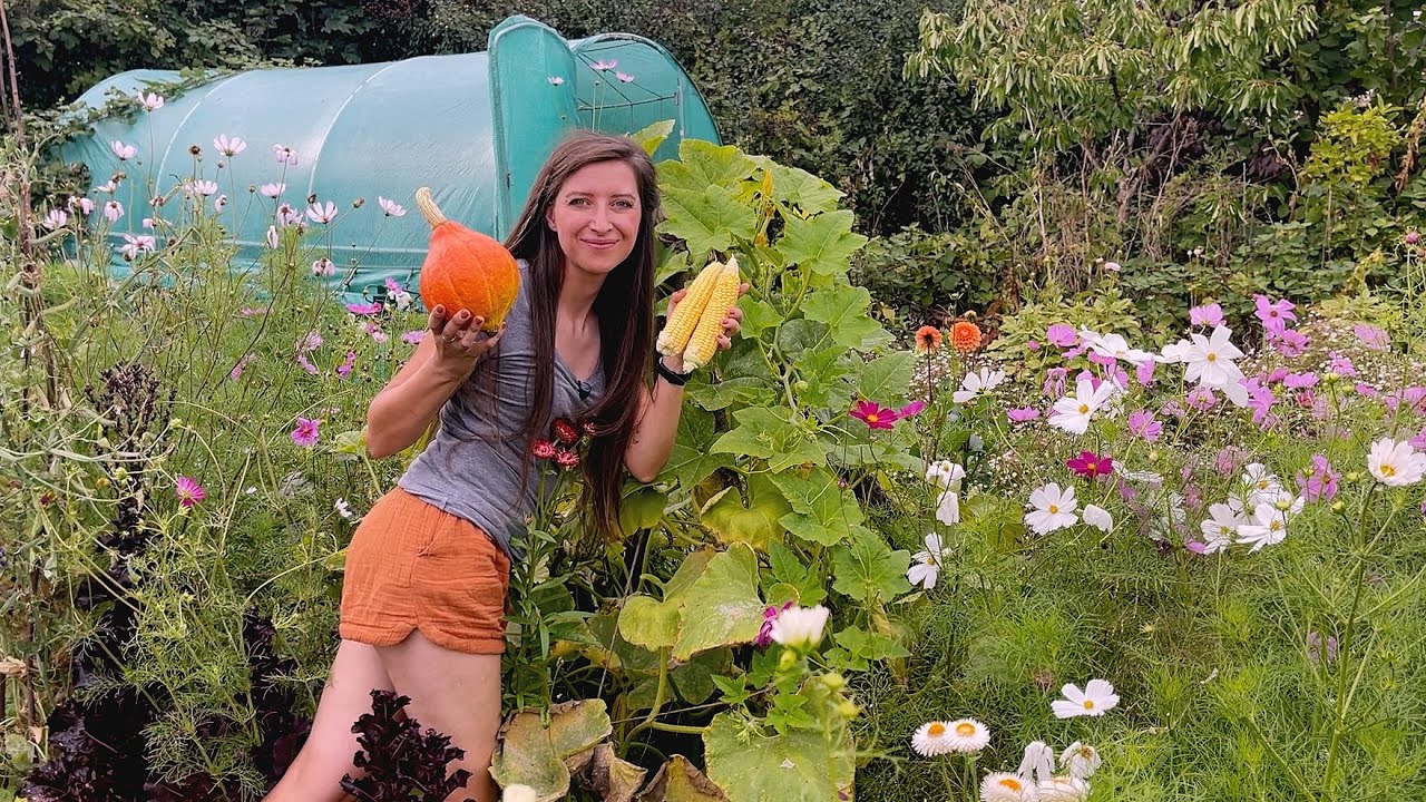 August Allotment Tour 2022 / Homegrown Garden