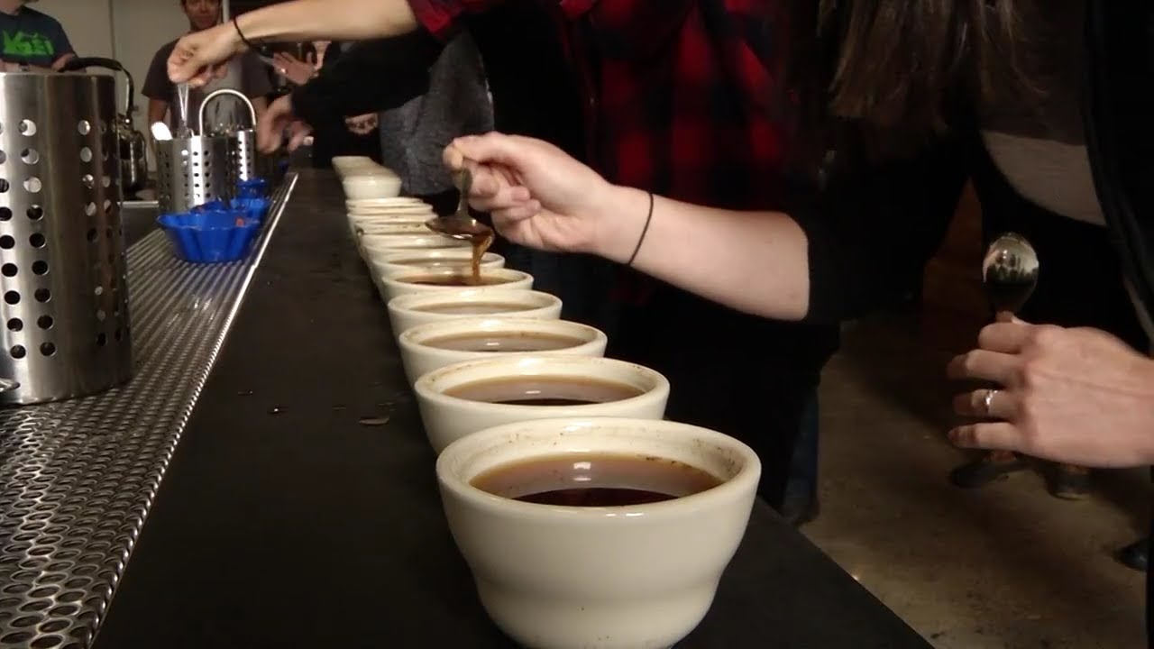 Counter Culture Coffee