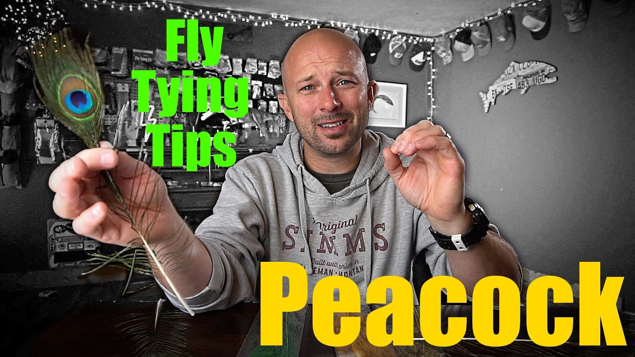 Fly Tying Tips - Peacock