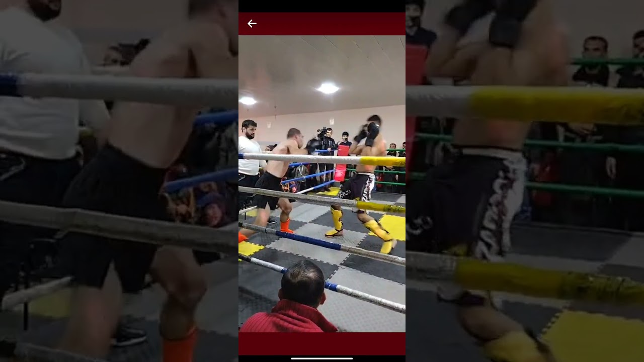 elnar Valiev vs  mixeil bagdasariyan