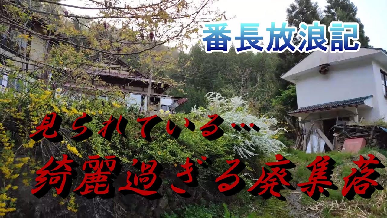 見られている…綺麗過ぎる廃集落