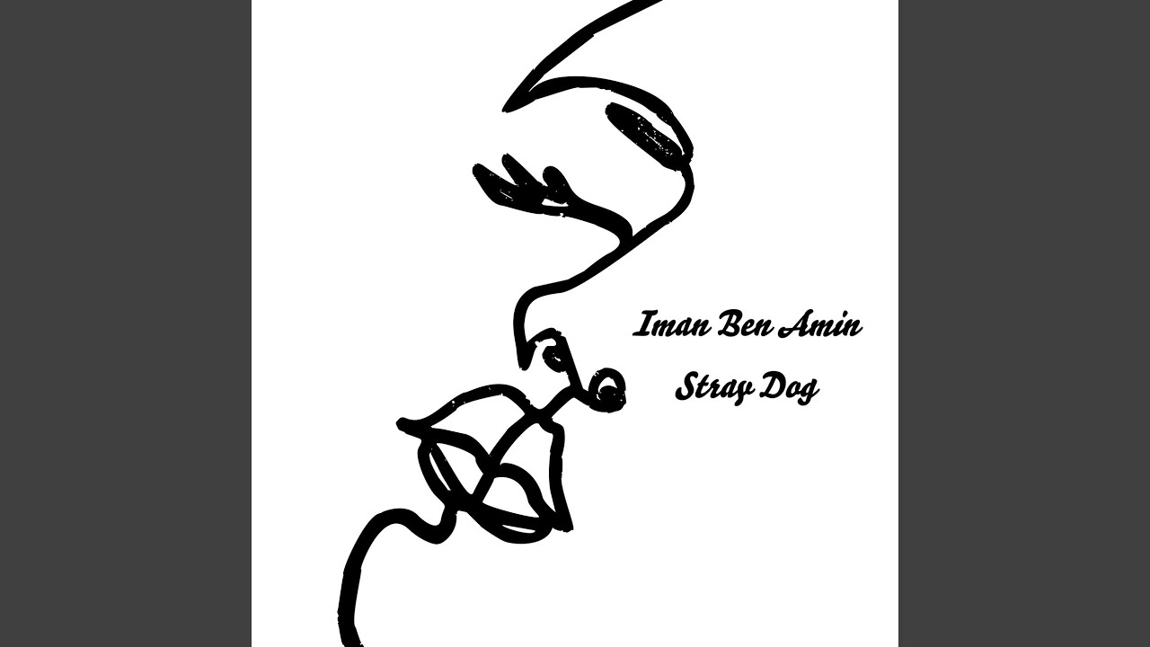 Stray Dog