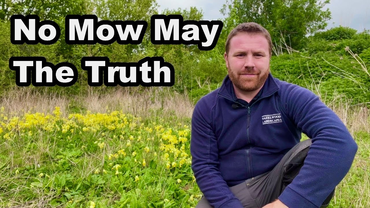 No Mow May — действительно ли это того стоит?