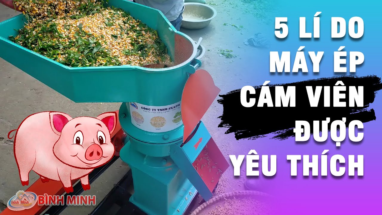 Muốn Giảm Chi Phí Chăn Nuôi Cần Máy Ép Cám Viên Không?