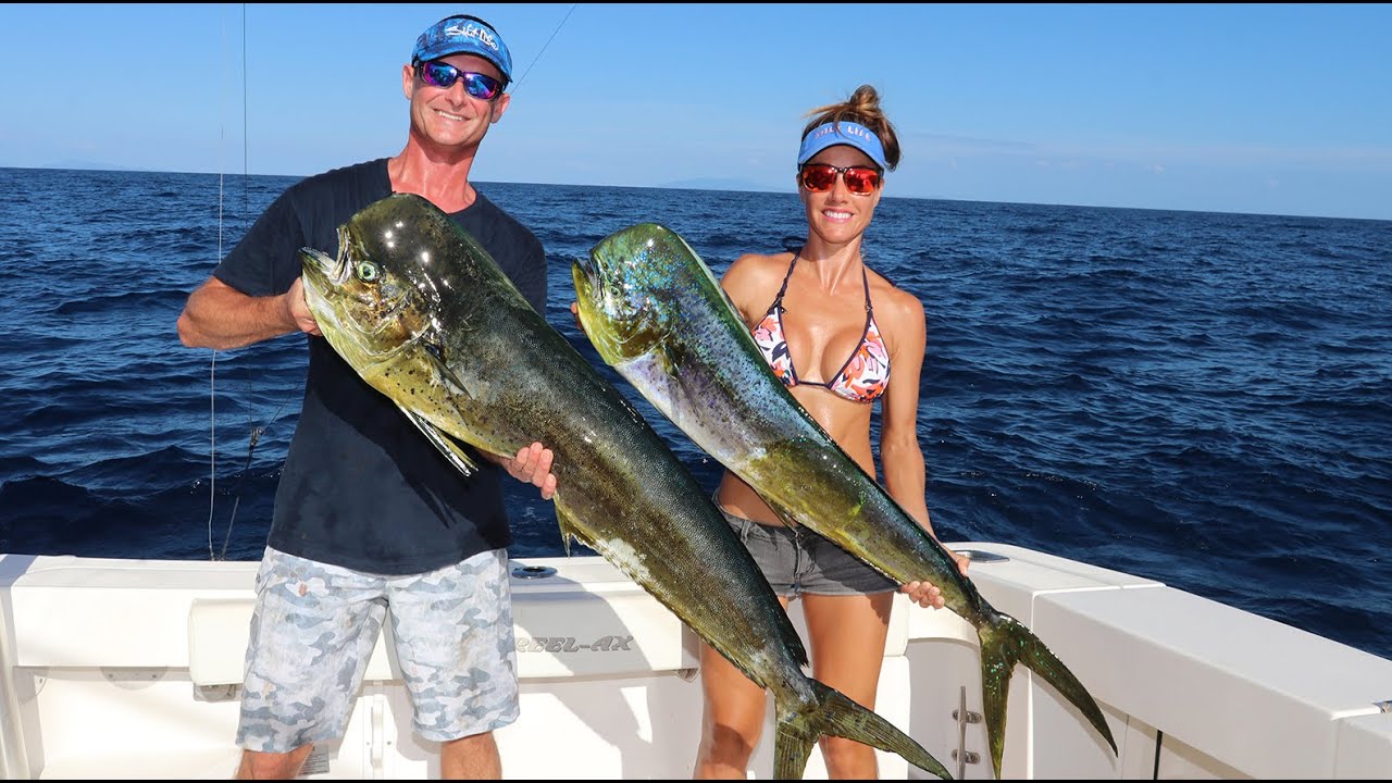 OFFSHORE FISHING for DOLPHIN