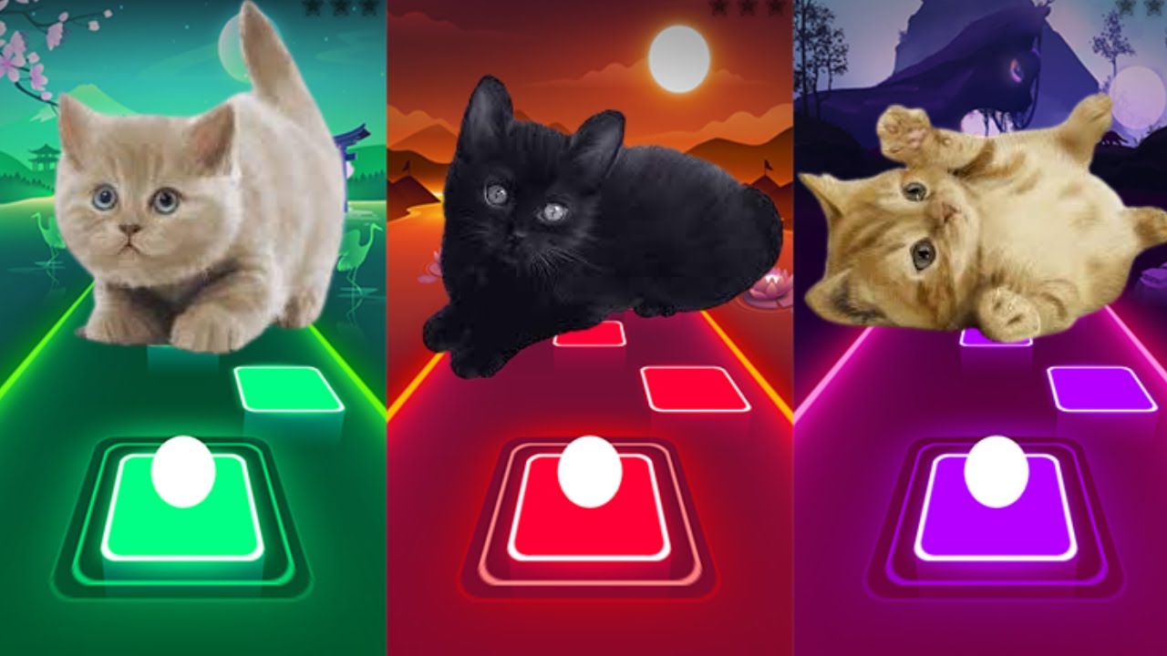 Tiles Hop Funny Cats - Imagine Dragon - Shakira Waka Waka - BTS