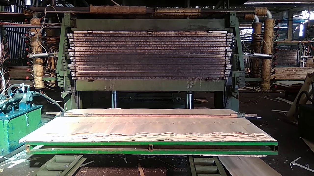 Press dryer veneer press dryer plywood