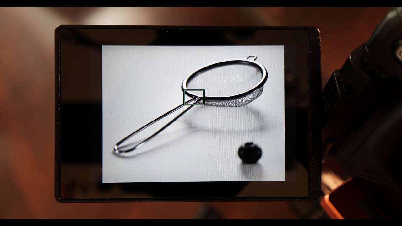 Focus Stacking demonstration in Lumix G cameras
