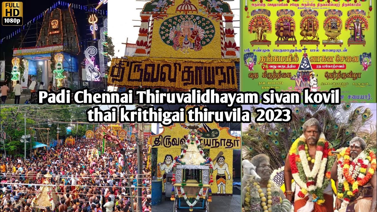 Padi Chennai Thiruvallithayam Sivan kovil Thai krithigai Thiruvila 2023 } R.J Avengers