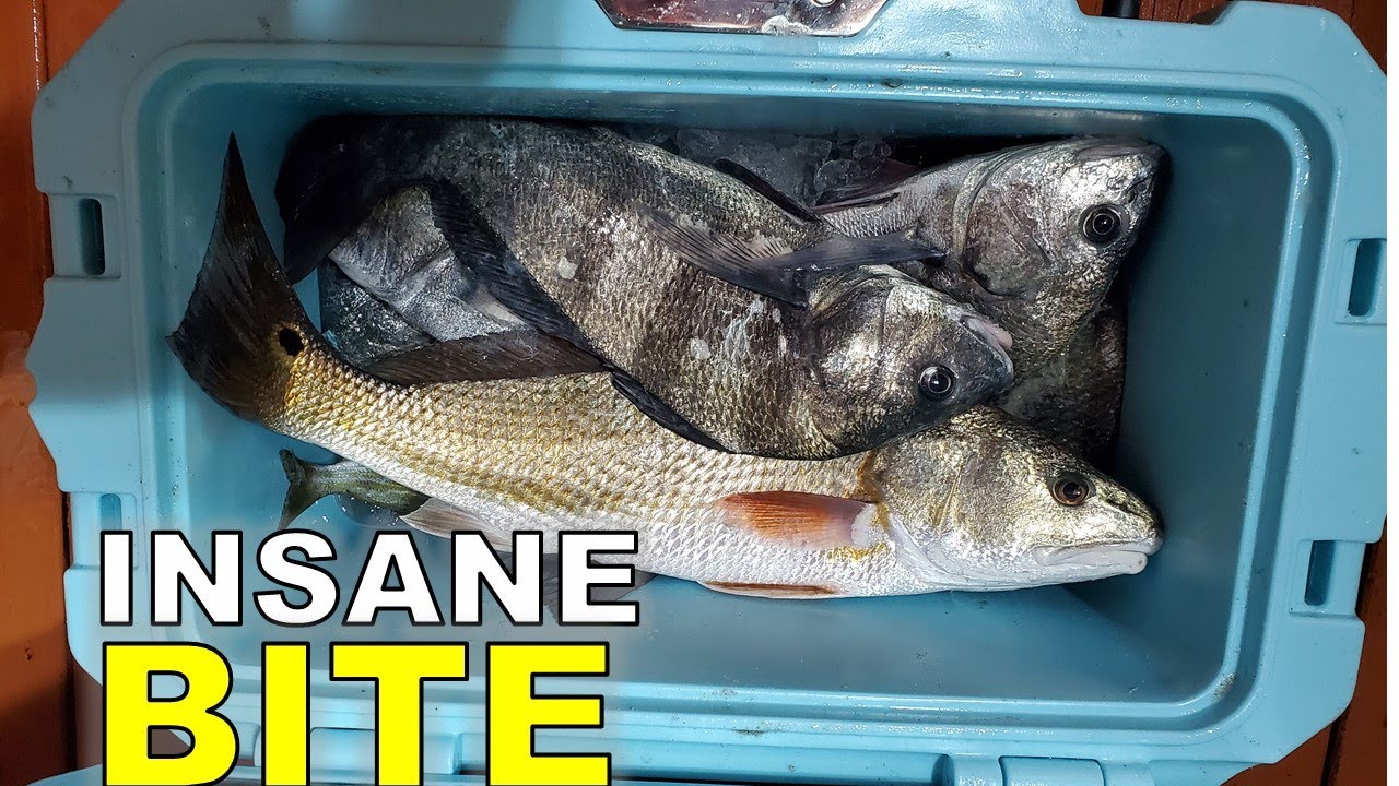 INSANE Day Fishing NC Surf