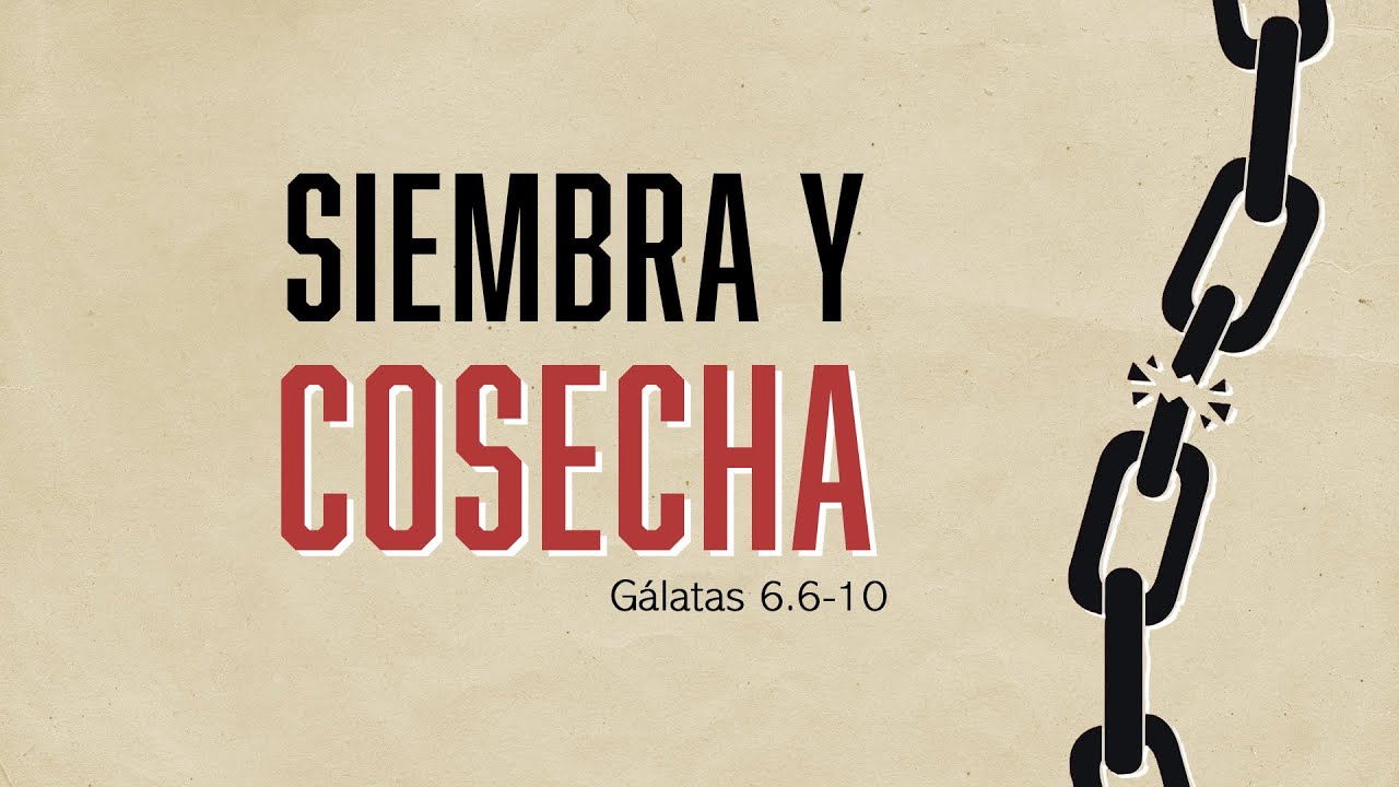 Siembra y cosecha- Gálatas 6.6-11