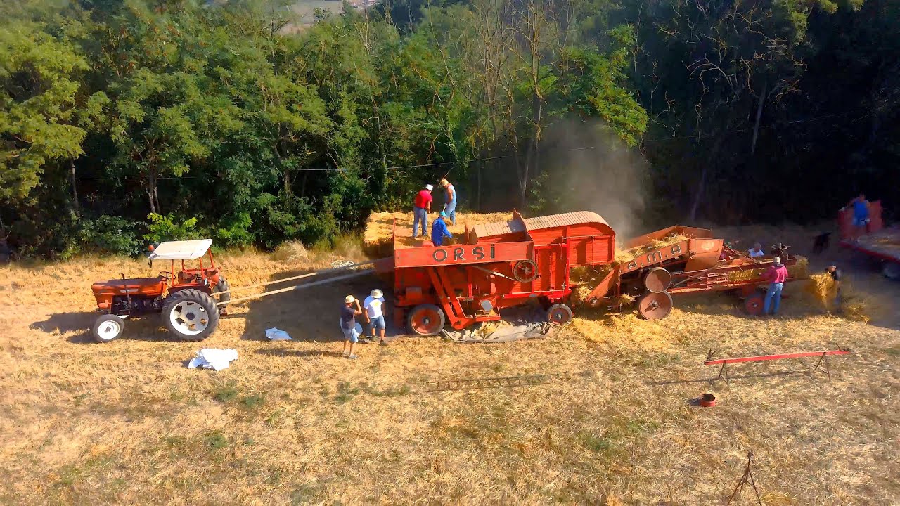 Trebbiatura con macchine d'epoca a Bistagno