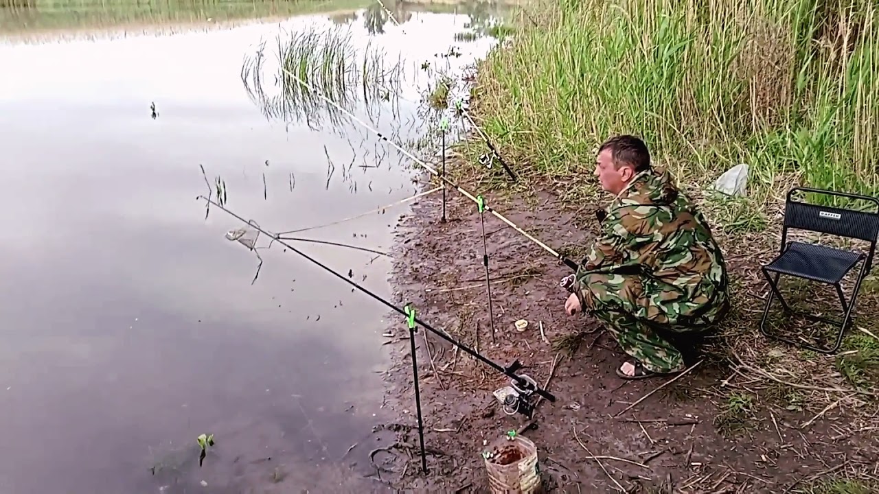 Донская Царица