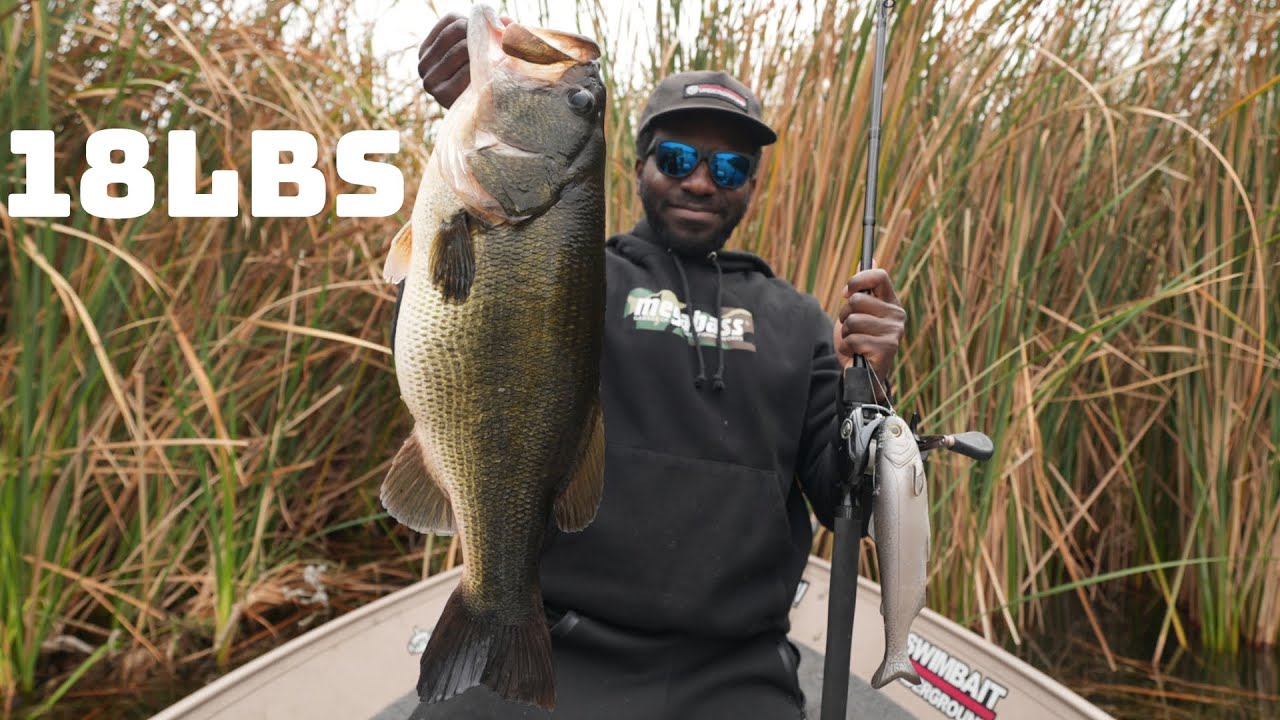 I've Never Caught Giant Bass Like This Before In My Entire Life!