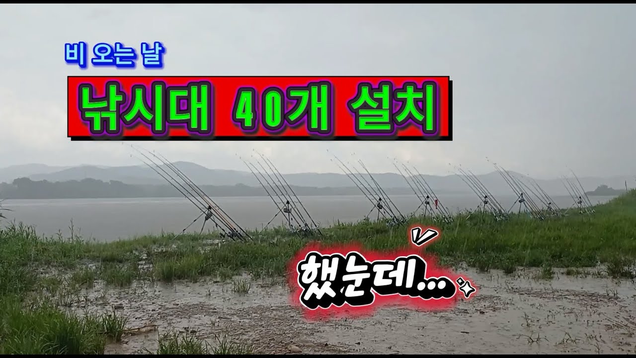 비 오는 날.. 낚시대 40개 설치 했는데..