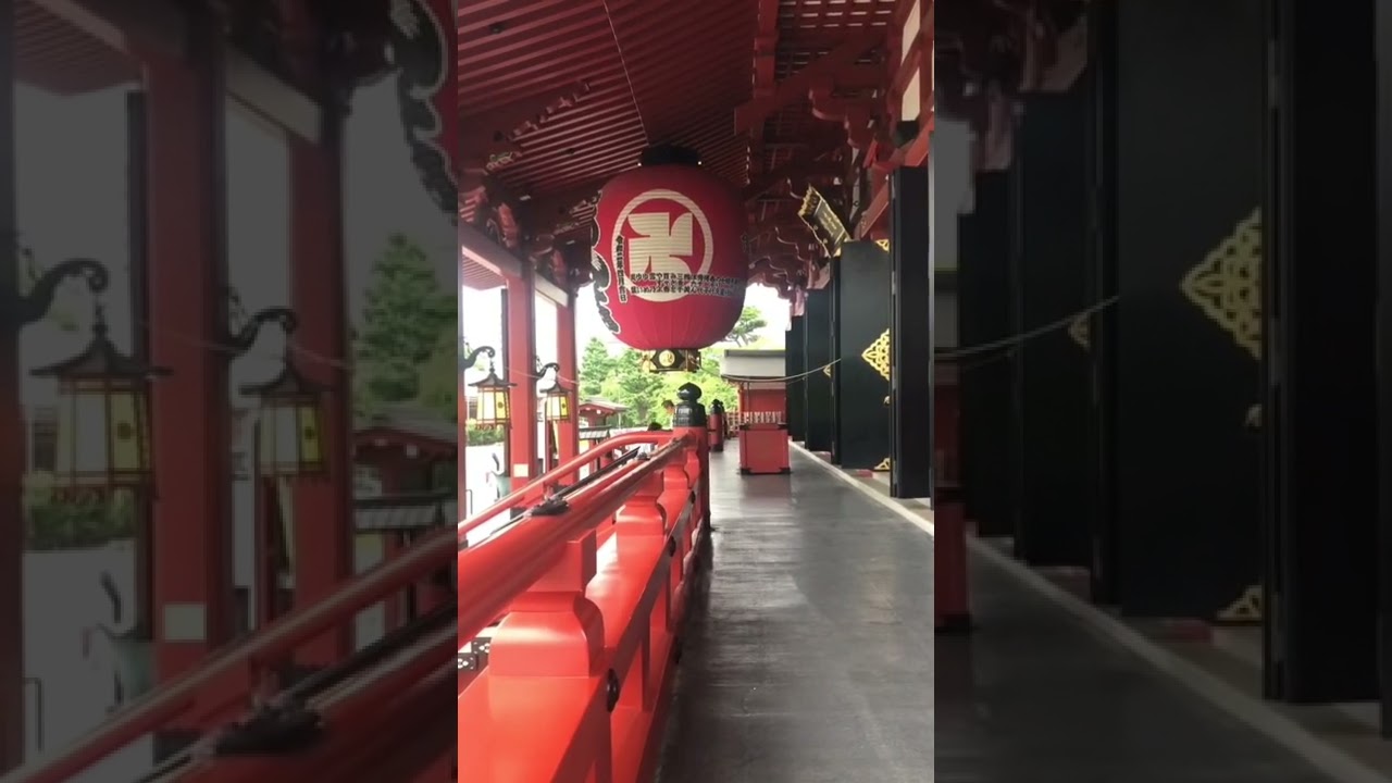 Soothing Buddhist chant. So peaceful. #japan
