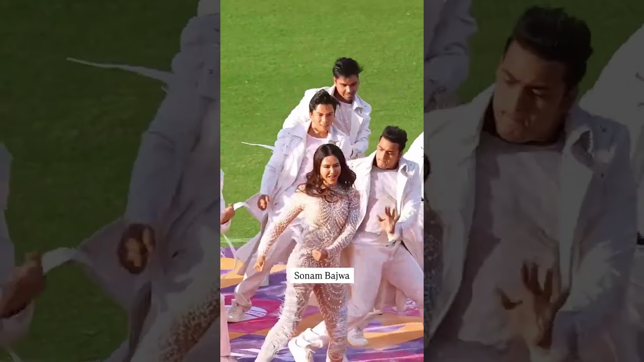 Five Punjabi celebrities who have performed in IPL