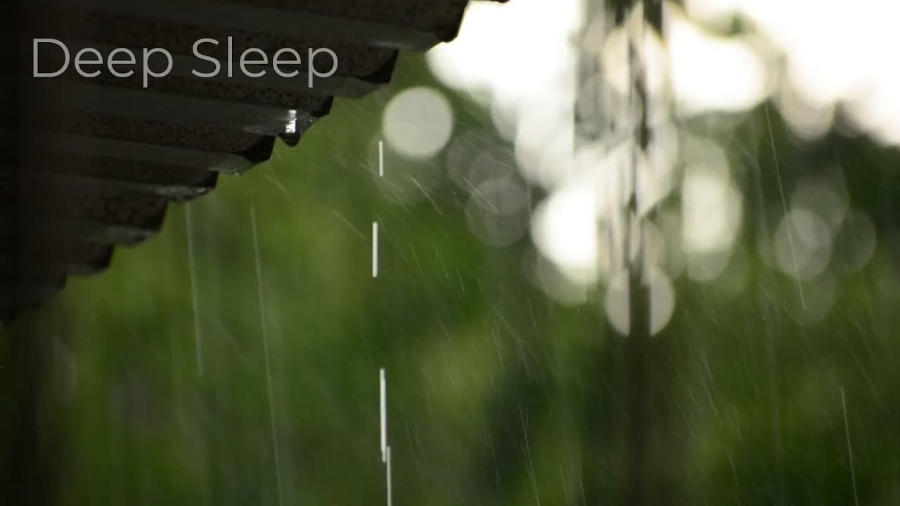 Night Rain & Nature Sounds for Deep Sleep 🌙 | Relax the Soul