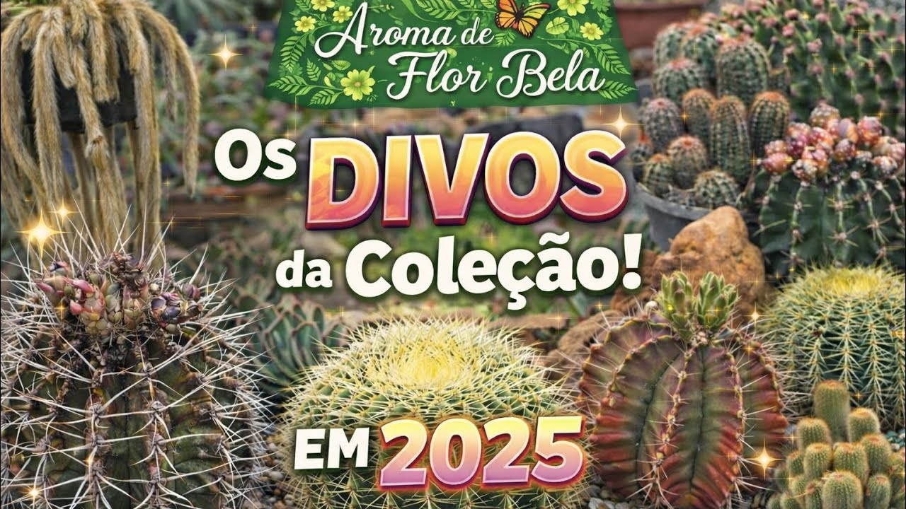 🌵✨ MEUS 10 CACTOS MAIS DIVOS DE 2025 – Fáceis de cuidar e cheios de beleza!