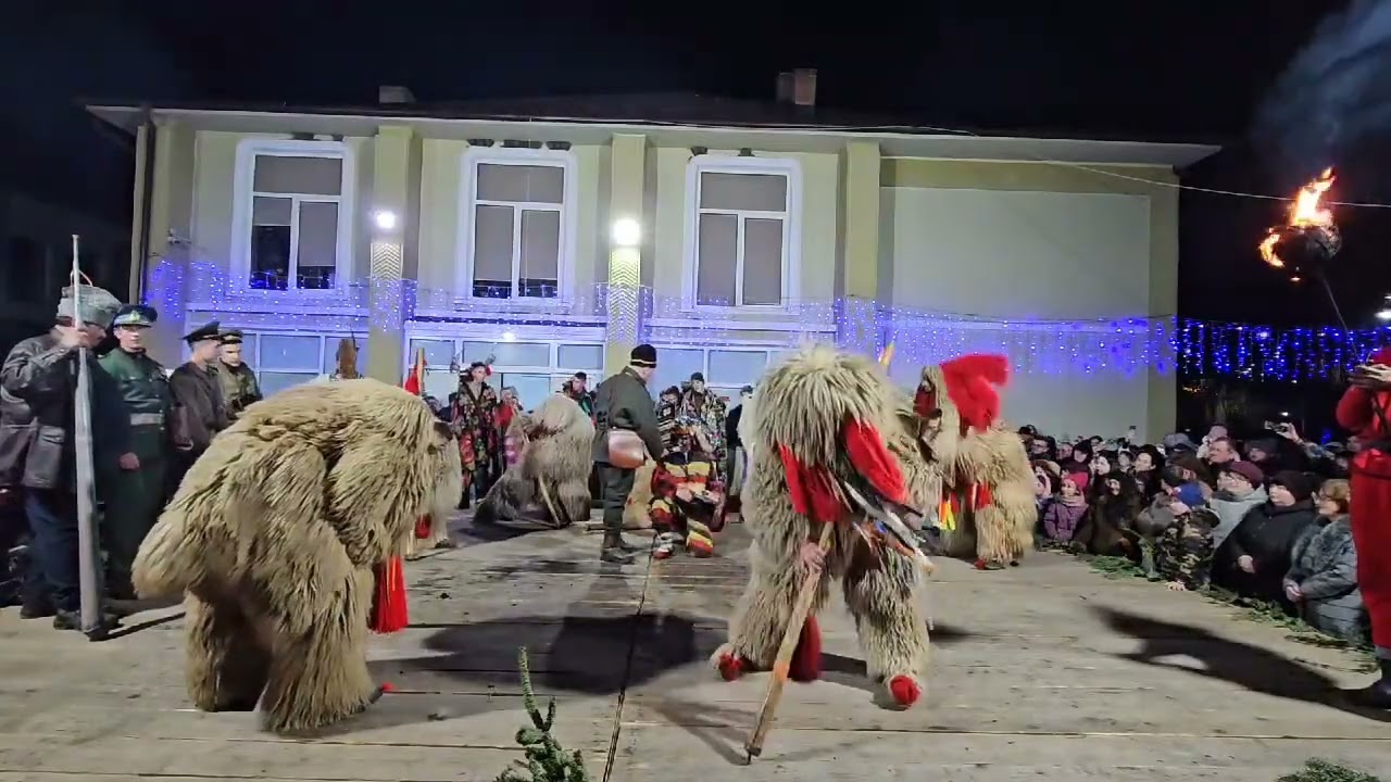 Festivalul de la Boroaia !!! Ursii de la Suceava !!!#4k #urs