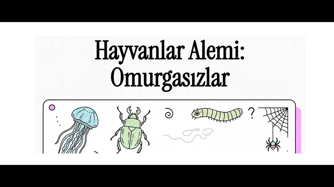 9. Sınıf Biyoloji | Maarif Modeli | Hayvanlar Alemi  ve Omurgasızlar