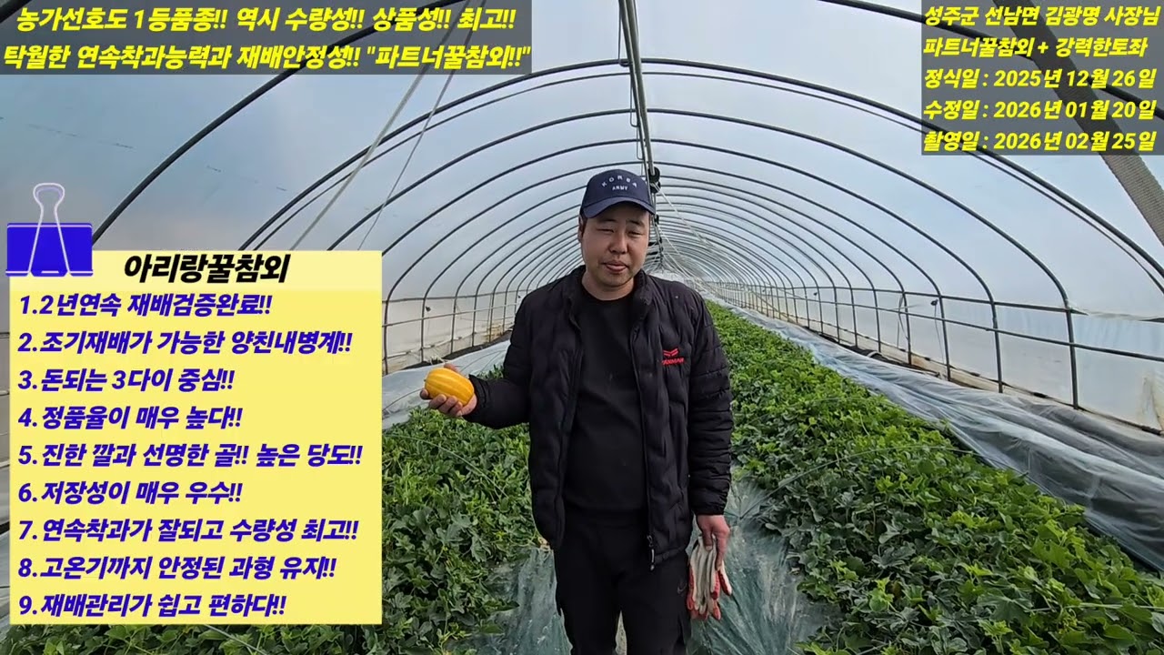 [파트너꿀참외 & 아리랑꿀참외] 농가선호도 1등품종! 역시 참외농가의 선택은 