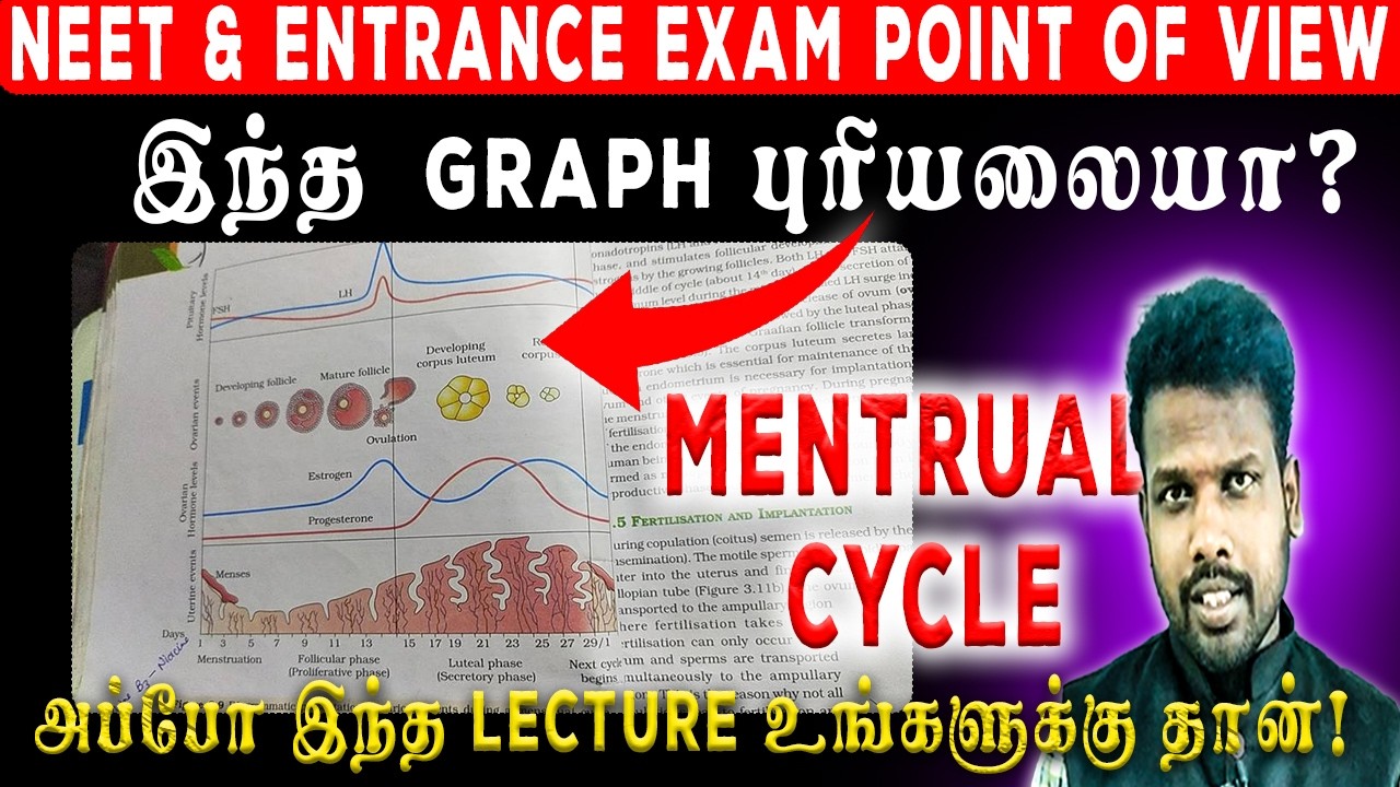 துல்லியமான விளக்கங்களுடன் Menstrual Cycle - Human reproduction | NEET | வெற்றி தமிழ் சேலம்.