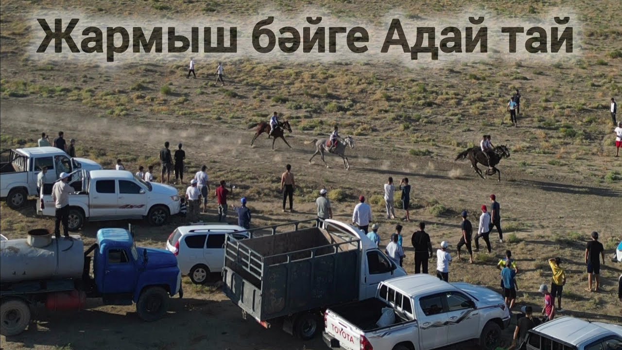 Бәйге Адай Тай Жармыш ауылы 31.08.2024