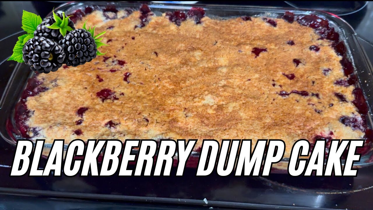 BLACKBERRY DUMP CAKE RECIPE | Easy 4 Ingredient Dessert