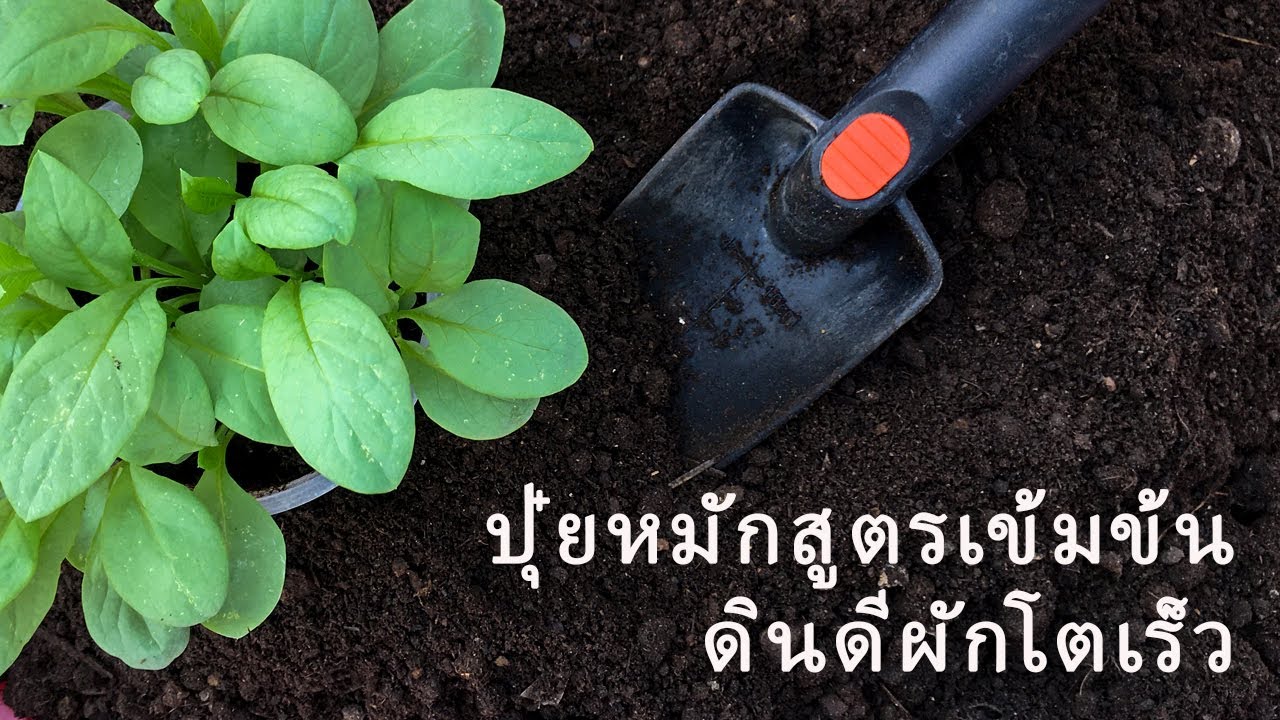 การทำปุ๋ยหมักสูตรเข้มข้น  สูตรนี้ดินดีผักโตเร็ว / ฟาร์มสุขข้างบ้าน