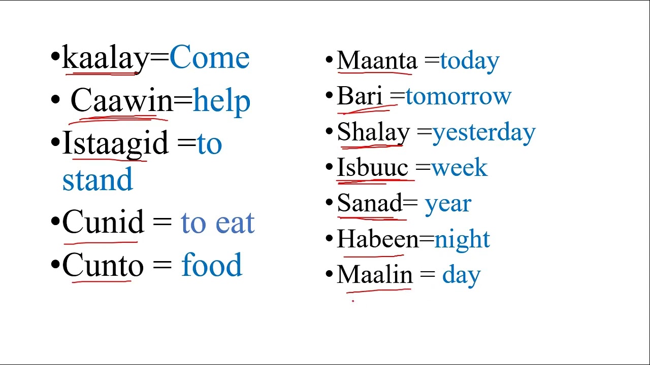 50 basic somali words [ Somalia language learning