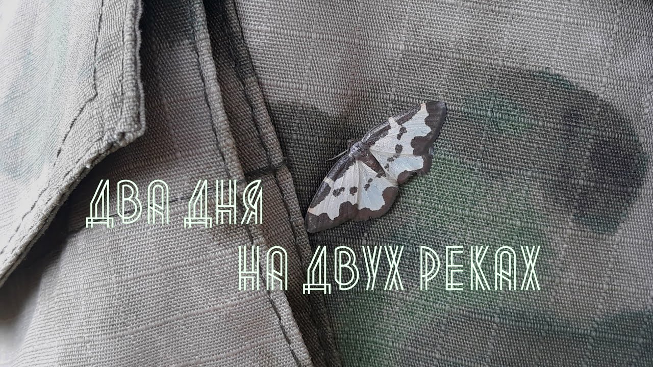 Рыбалка. Два дня на двух реках поле дождей