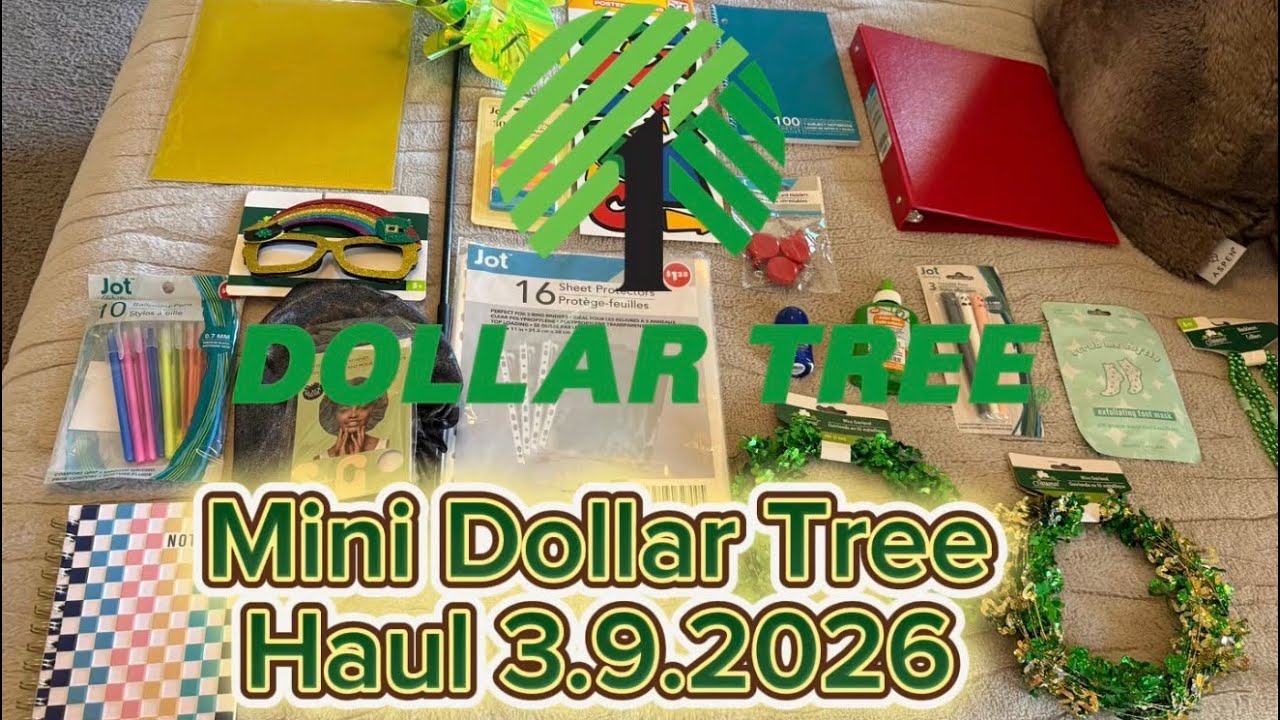 Mini Dollar Tree Haul 3.9.2026