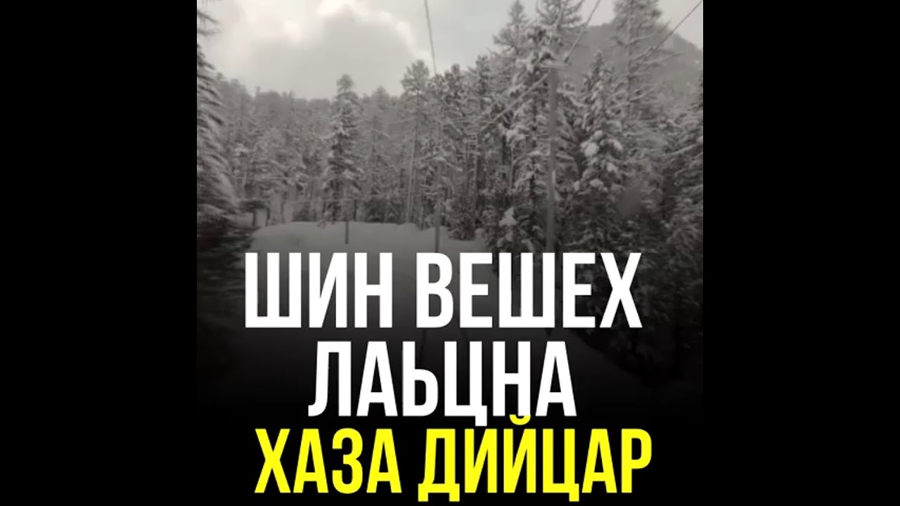 ШИН ВЕШЕХ ЛАЬЦНА ХАЗА ДИЙЦАР ХЬЕХАМ