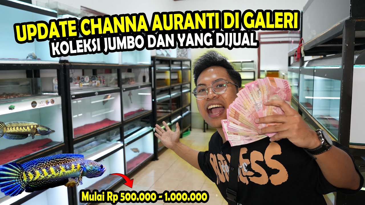 UPDATE AURANTI DIGALERI? RANTI 500K - 1JUTA READY DIGALERI BOS BOS QU