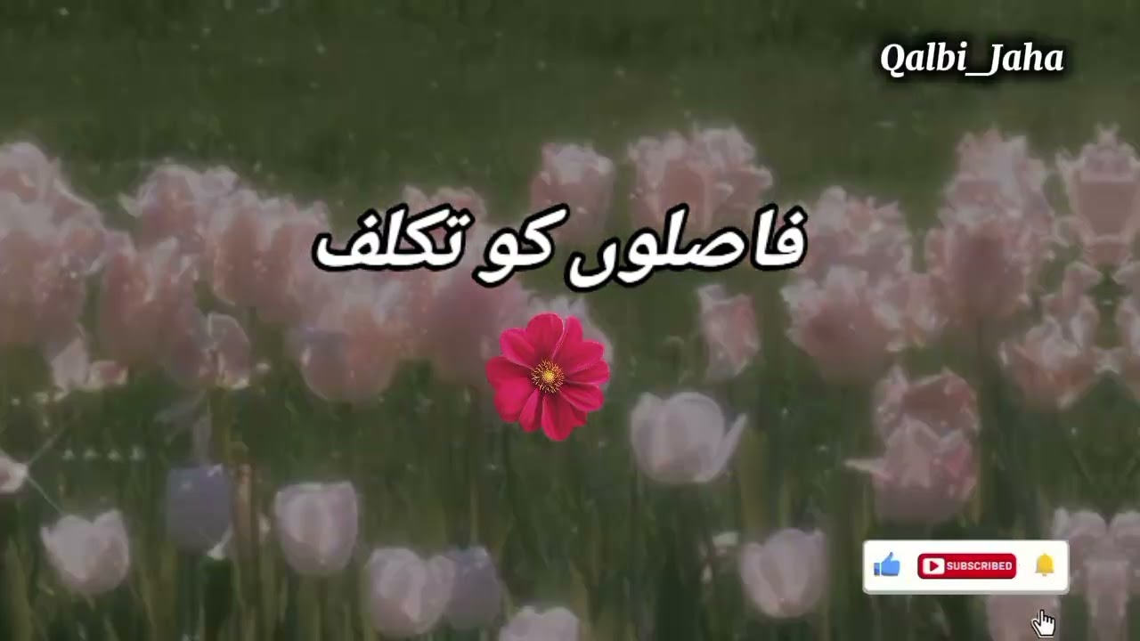 Faslon ko takaluf hai hamse agar❤️✨ #slowedandreverbnaat #naatsharif #lyricsnaat 