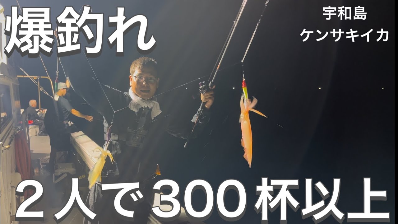 【爆釣】初宇和島ケンサキイカ2人で300杯超え！夜釣りが止まらない