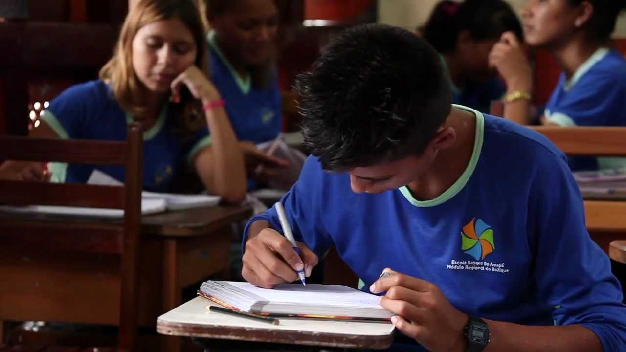 Bailique, a Amazônia que funciona