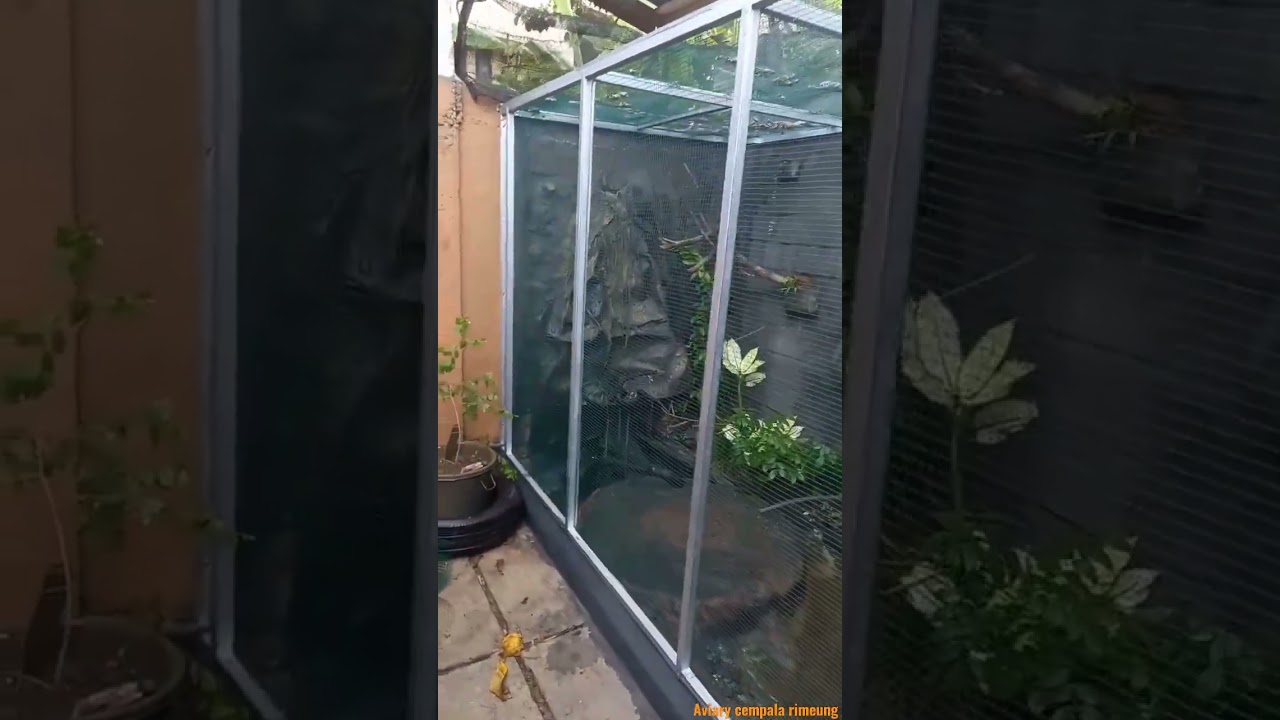Aviary minimalis