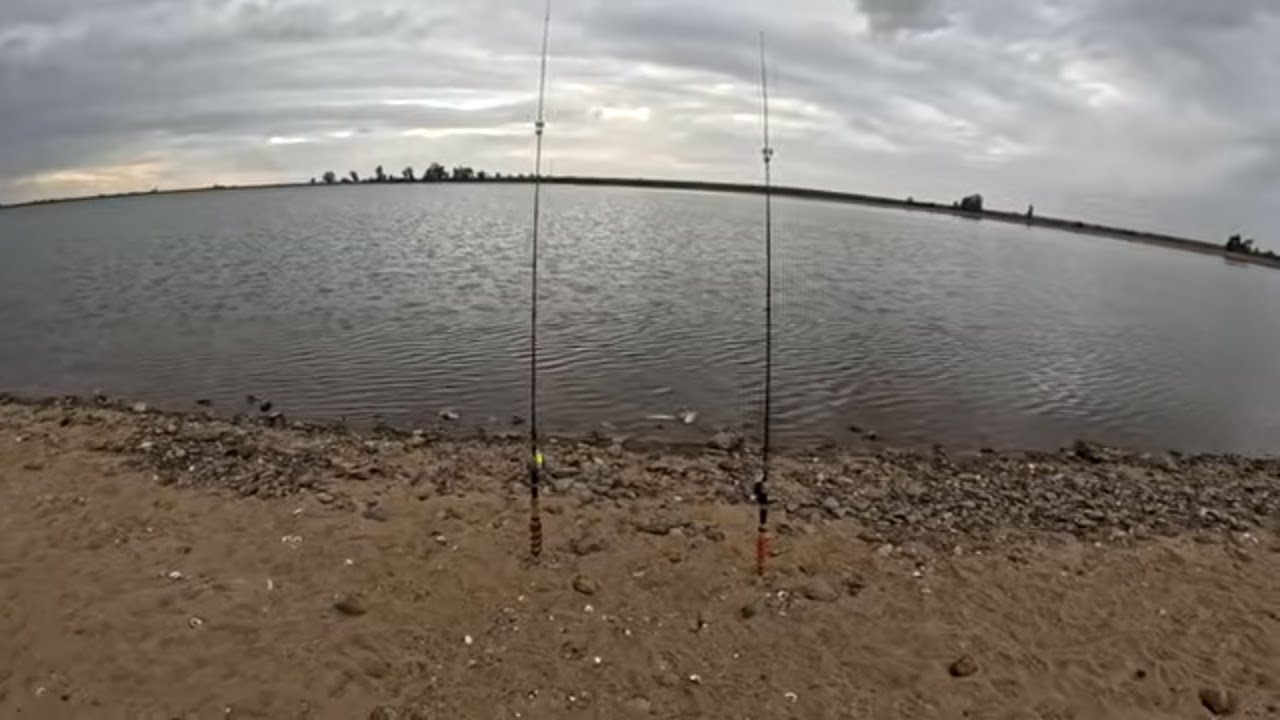 January TROUT Fishing 2025(Yosemite Lake Fishing)