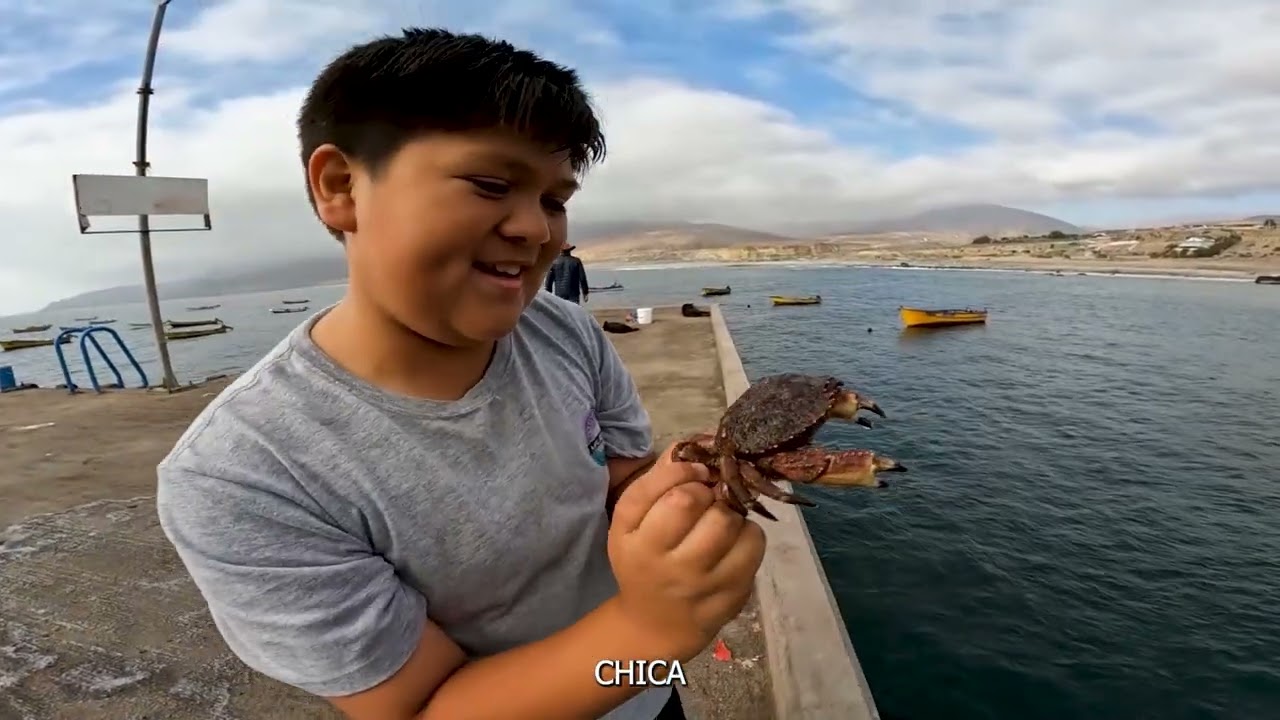 BORRADOR REPORTAJE PPL CALETA LOS HORNOS 2024