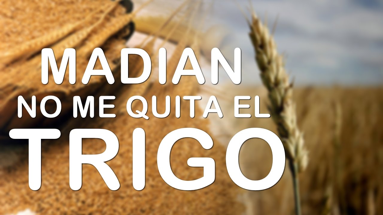 Pedro Losada | MADIAN NO ME QUITA EL TRIGO