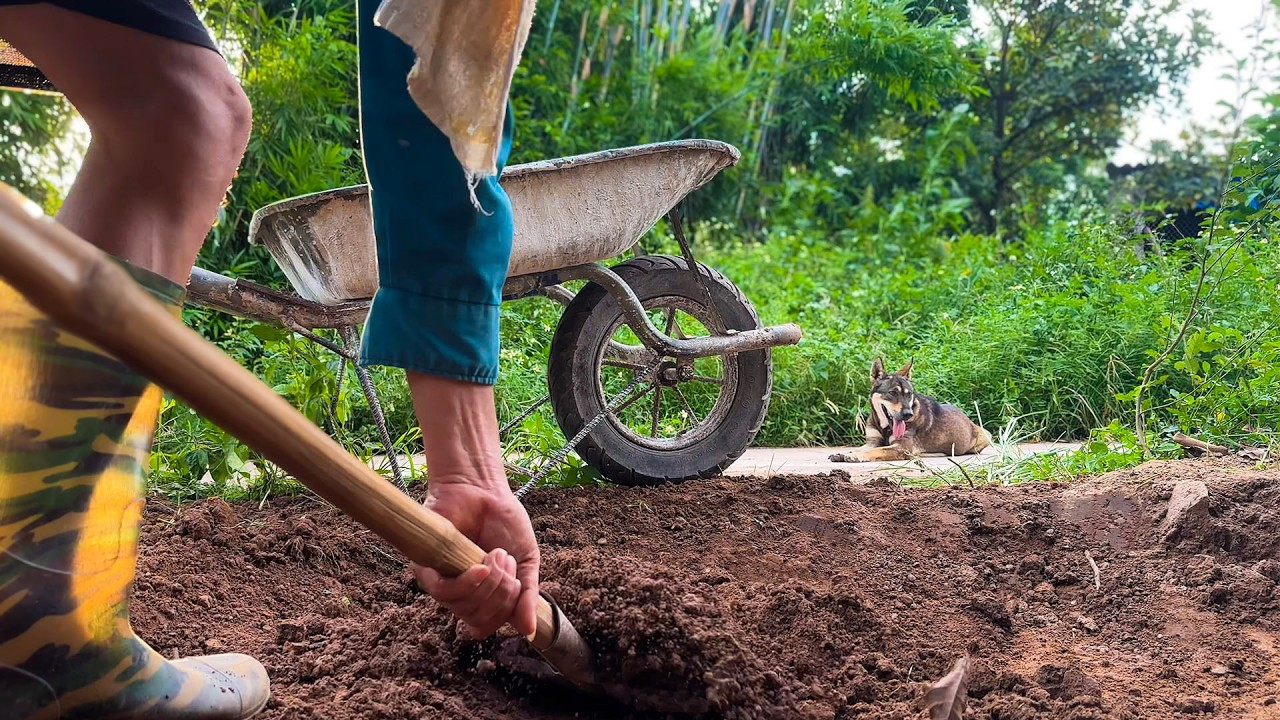 Why I Dumped Loads of Soil Right at My Front Door?