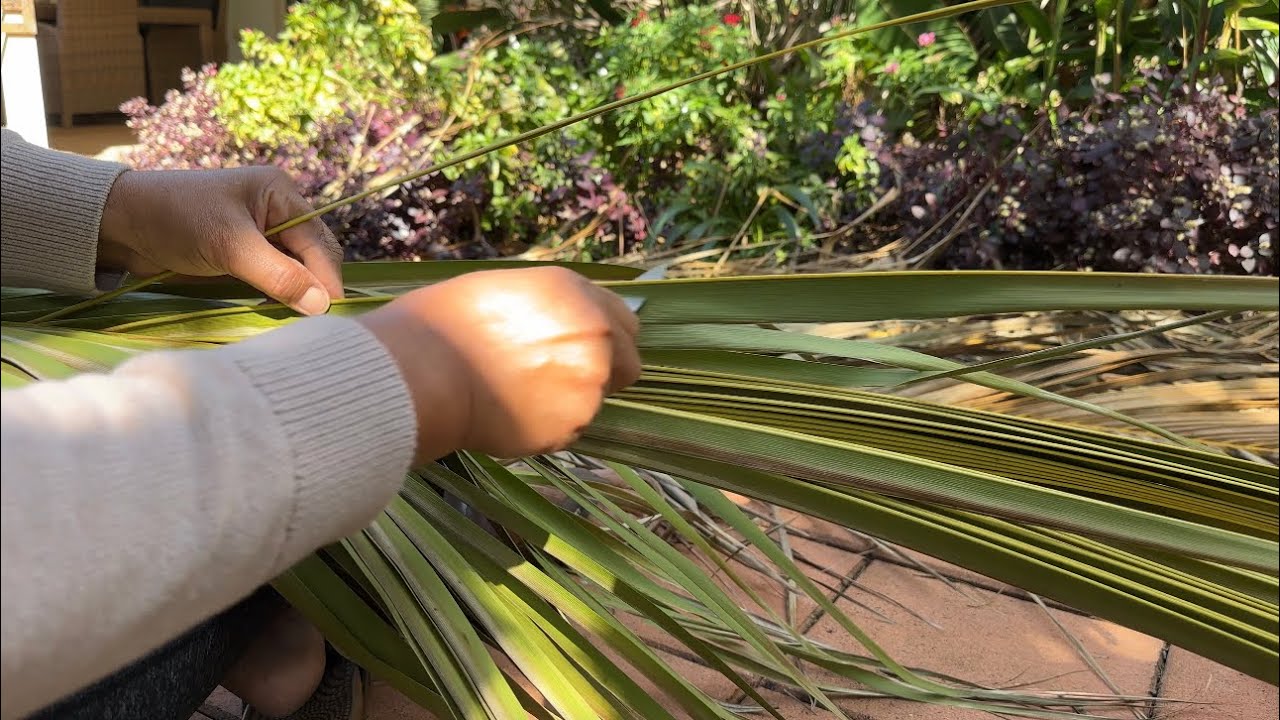 From Leaves To Broom: Kiribati Craft And Garden 
