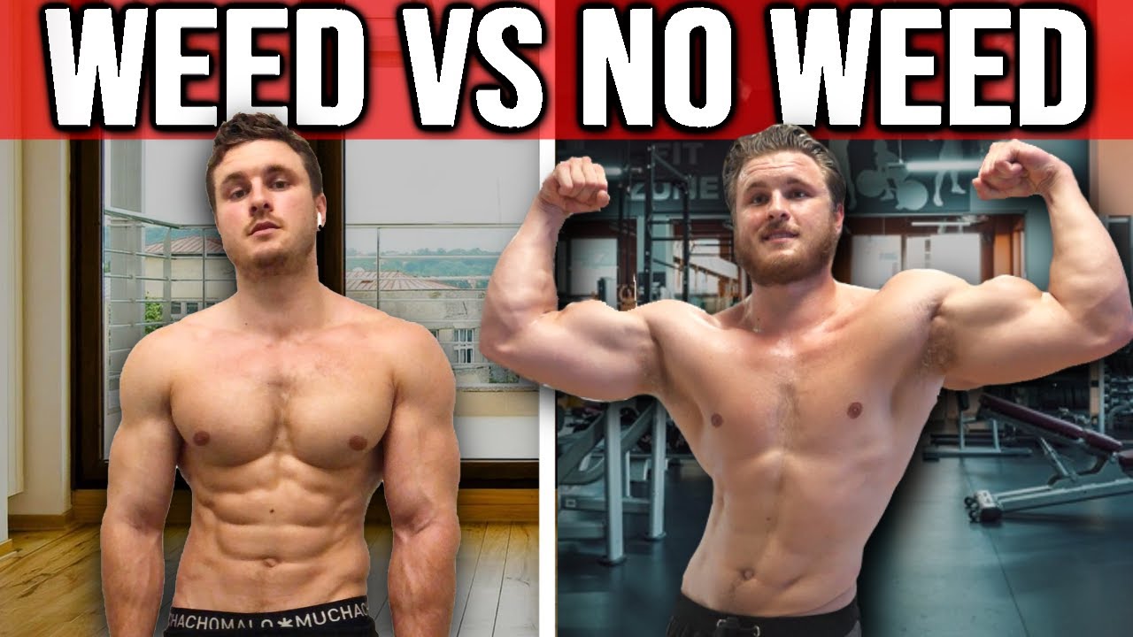 Bodybuilding & Weed: Can You Build Muscle, Testosterone, Best Practices