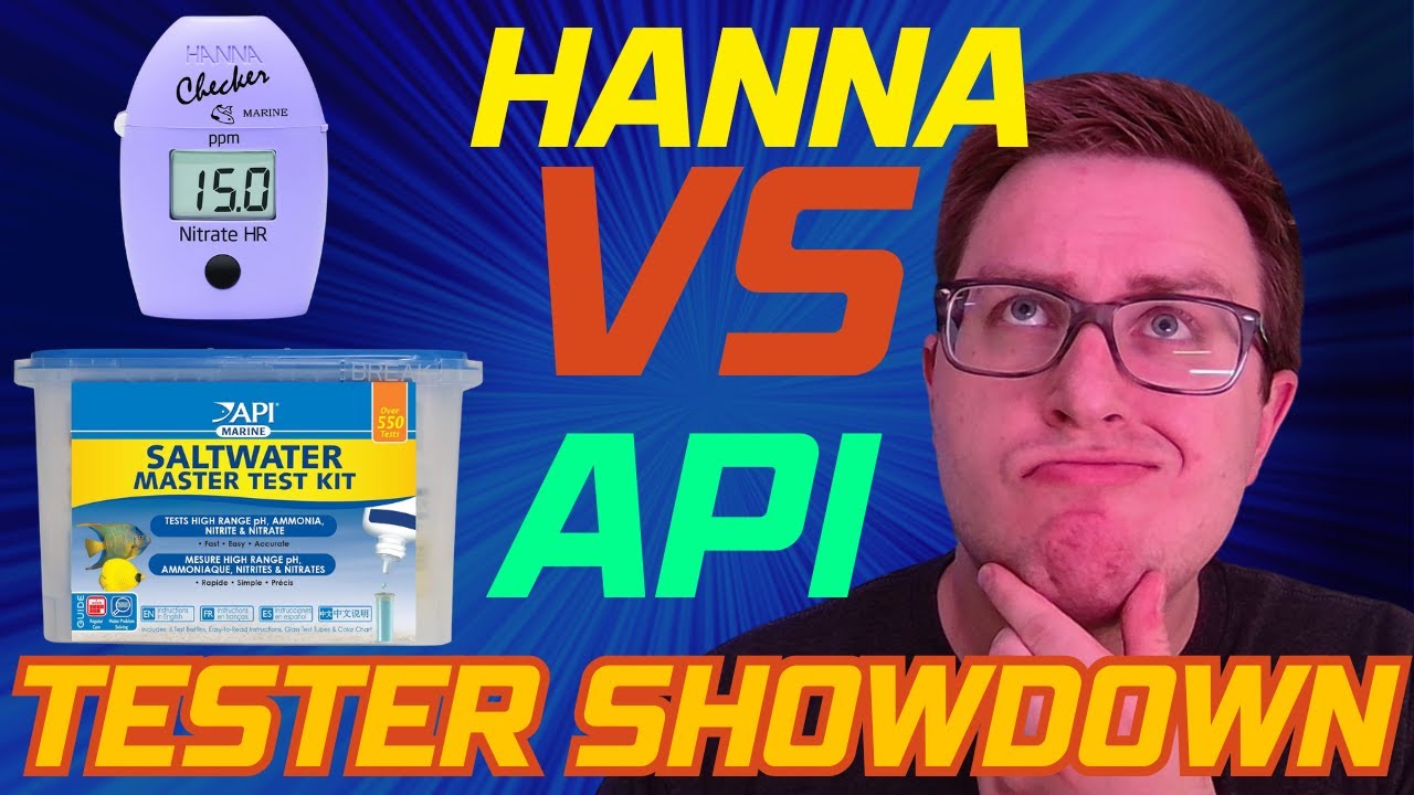 Hanna Checkers VS API Master Test Kit - Are Hanna Checkers Worth It?